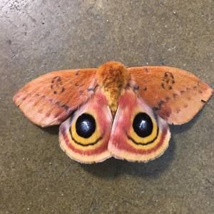 Meet your Posher, Mario